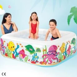 Piscina Hinchable INTEX Acuario 159x50 Cm - 340 Litros -Intex 19363227 3
